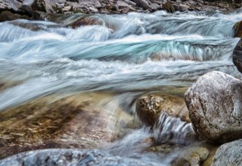 Bach_Header_1920