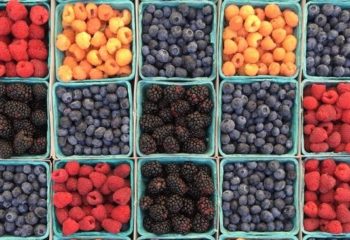 Beeren_william-felker-fqkrXYMosT4-unsplash