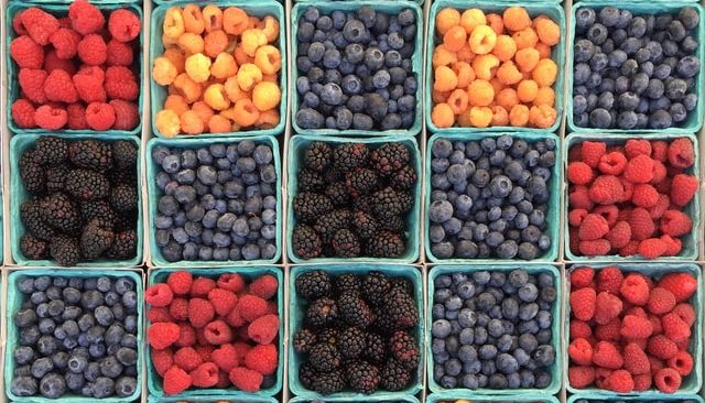 Beeren_william-felker-fqkrXYMosT4-unsplash