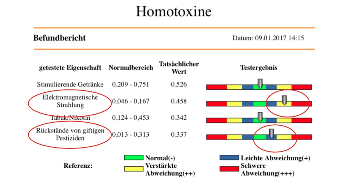 Befund_Homotoxine
