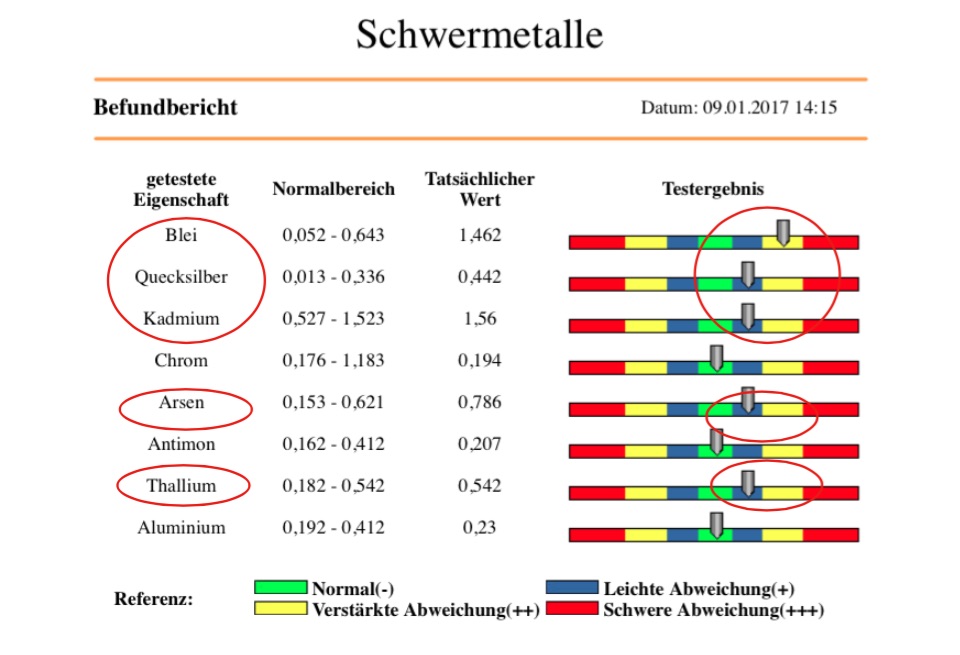 Befund_Schwermetalle