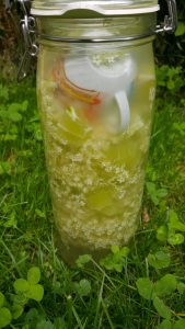 Holler-Kefir