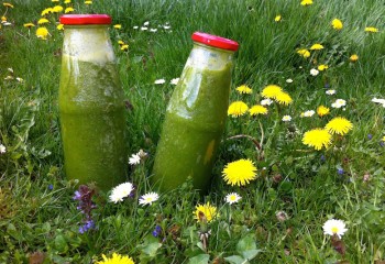 Grüner Smoothie