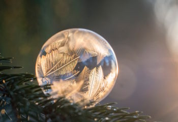 Photo by Aaron Burden on Unsplash