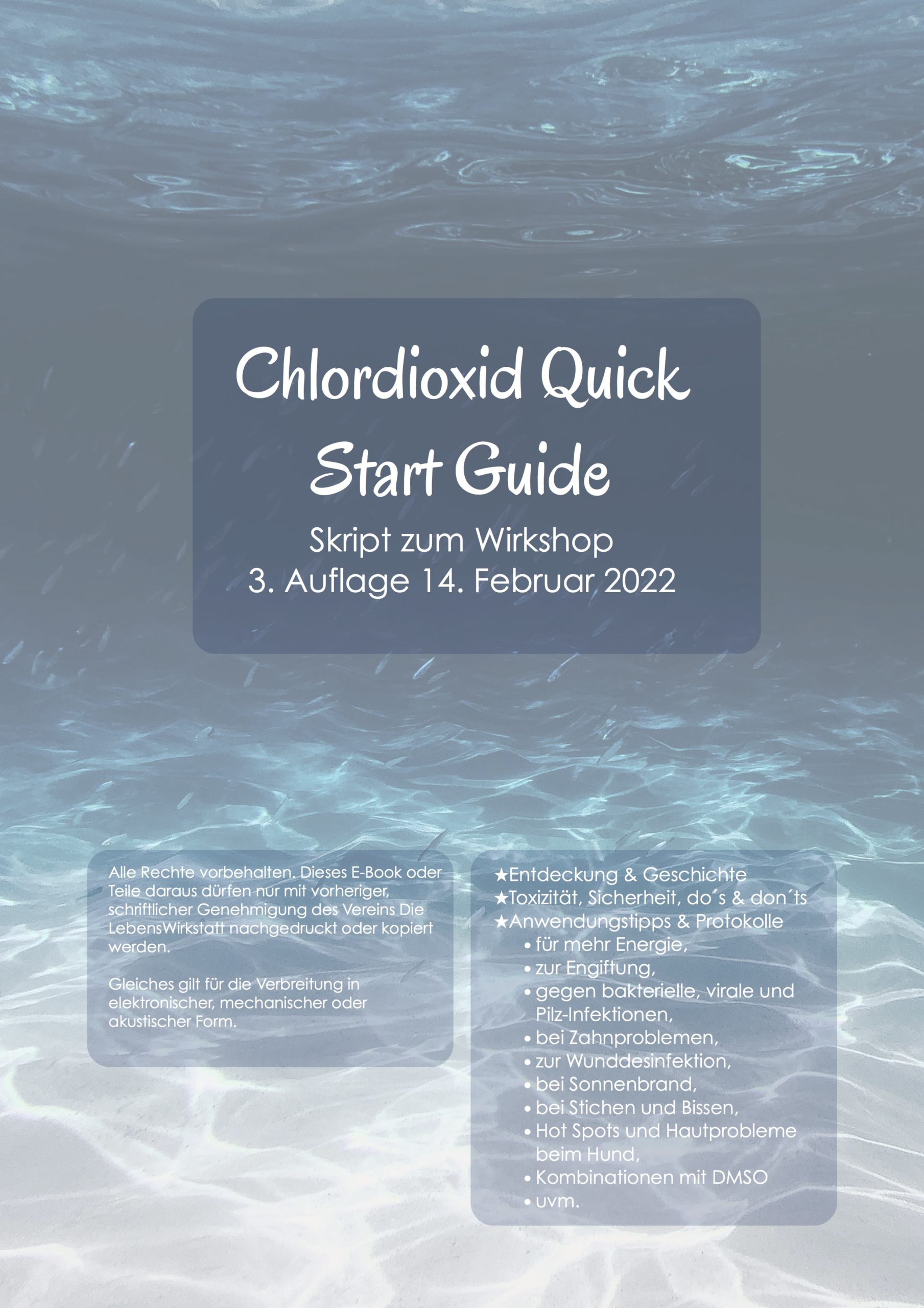 Skript_Wirkshop_Chlordioxid_Quick_Start_Guide_2_2022