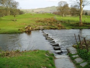 Steine_im_Fluss