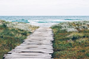 Vom Mindset, über Vorbereitung & Entlastungstage, Unterstützung, Seelepflege, Zeitpunkt, Fastenarten und notwenige Hilfsmittel!