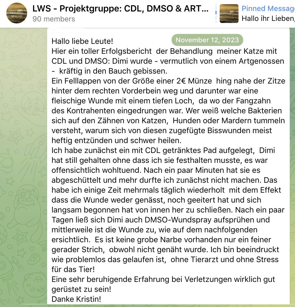 Teilnehmer-Stories_Katze-Biss-bearbeitet