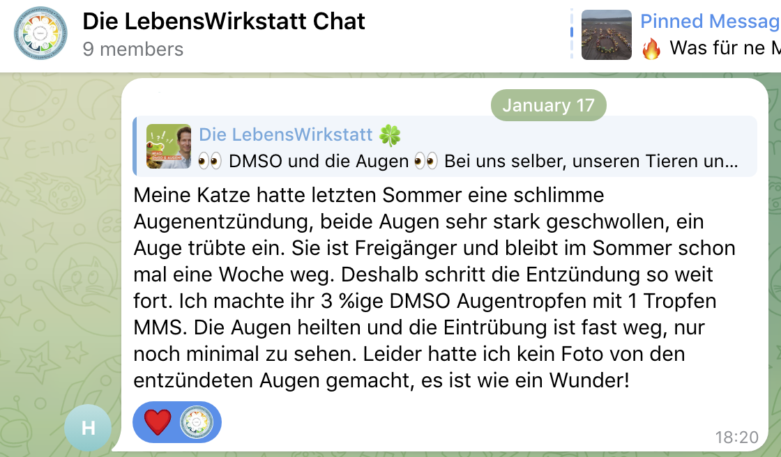 Teilnehmer-Stories_Katze_Augenentzuendung1_bearbeitet