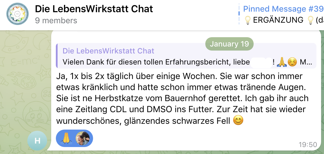 Teilnehmer-Stories_Katze_Augenentzuendung3-bearbeitet