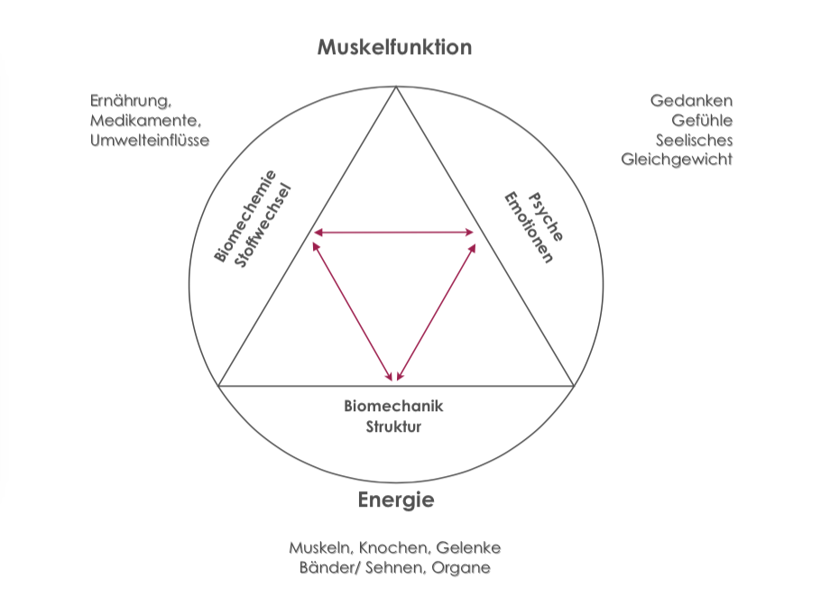 Triade_der_Gesundheit