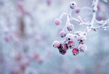 Photo by Galina N on Unsplash