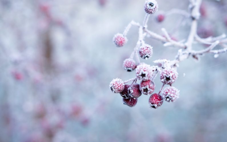 Photo by Galina N on Unsplash