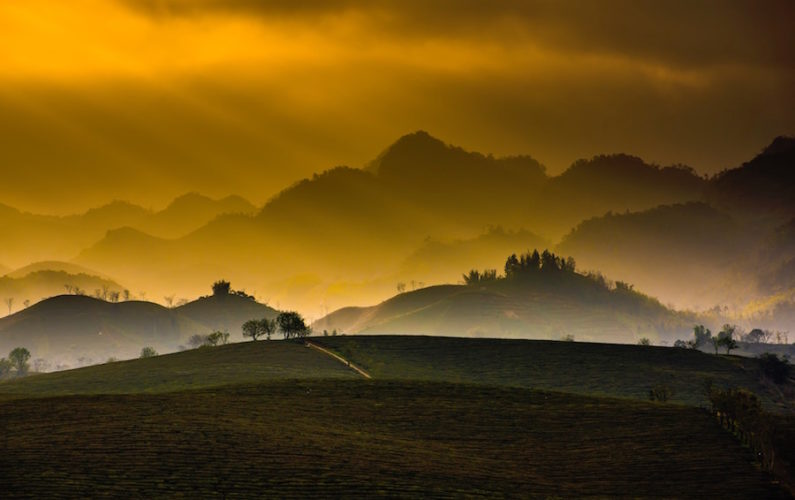 Photo by Linh Pham on Unsplash