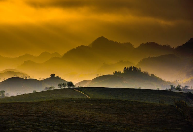 Photo by Linh Pham on Unsplash